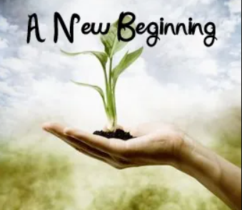 a hand holding a growing plant and it says A New Beginning in the center at the top